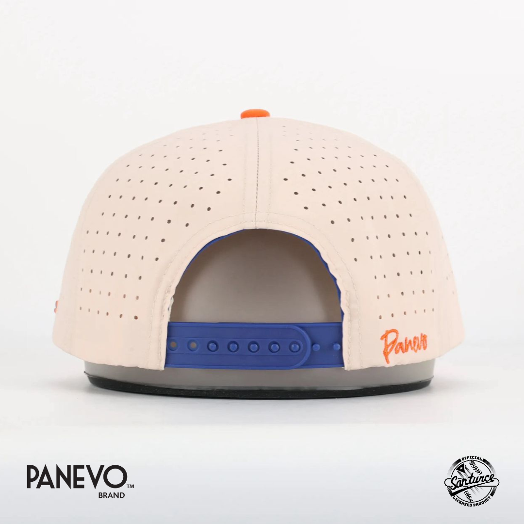 Panevo Brand